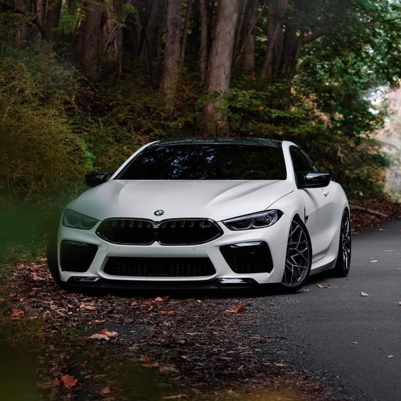 BMW F91 / F92 / F93 M8