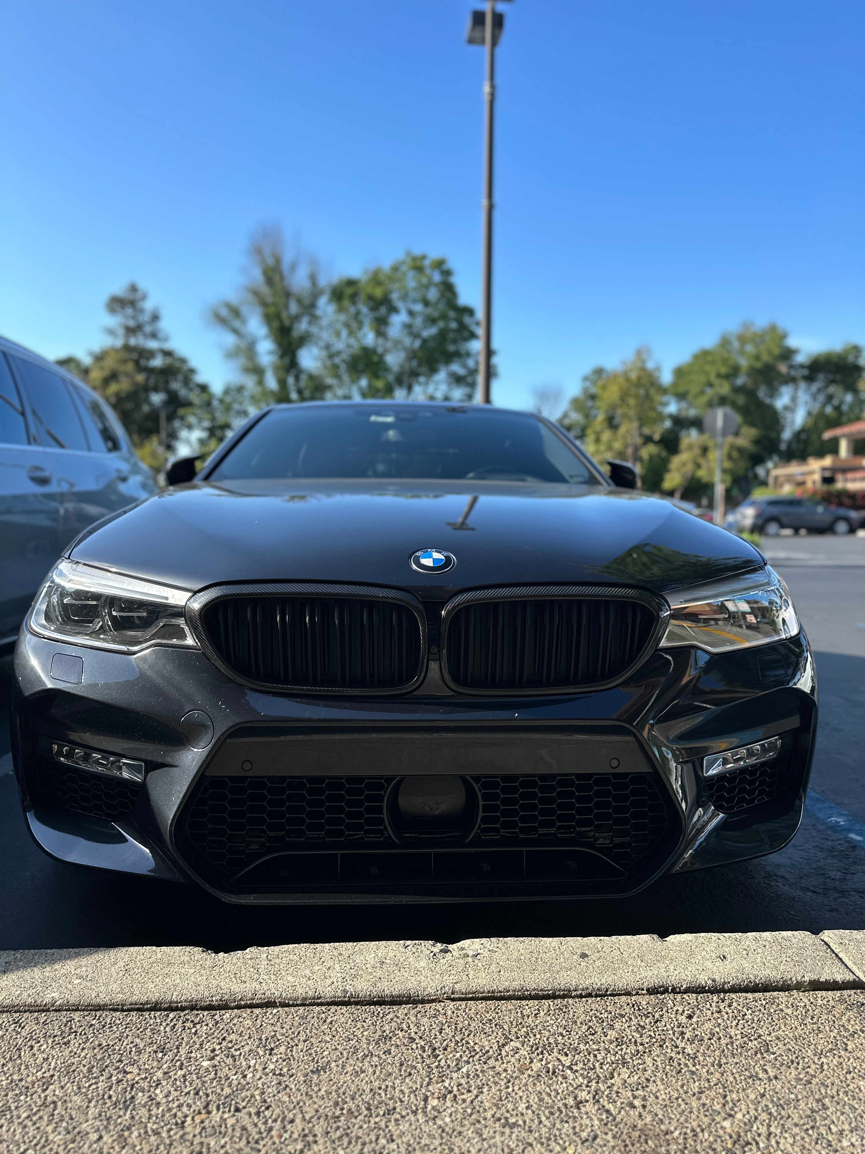 Carbon Fiber Dual Slat Grilles - BMW F90 M5 & G30
