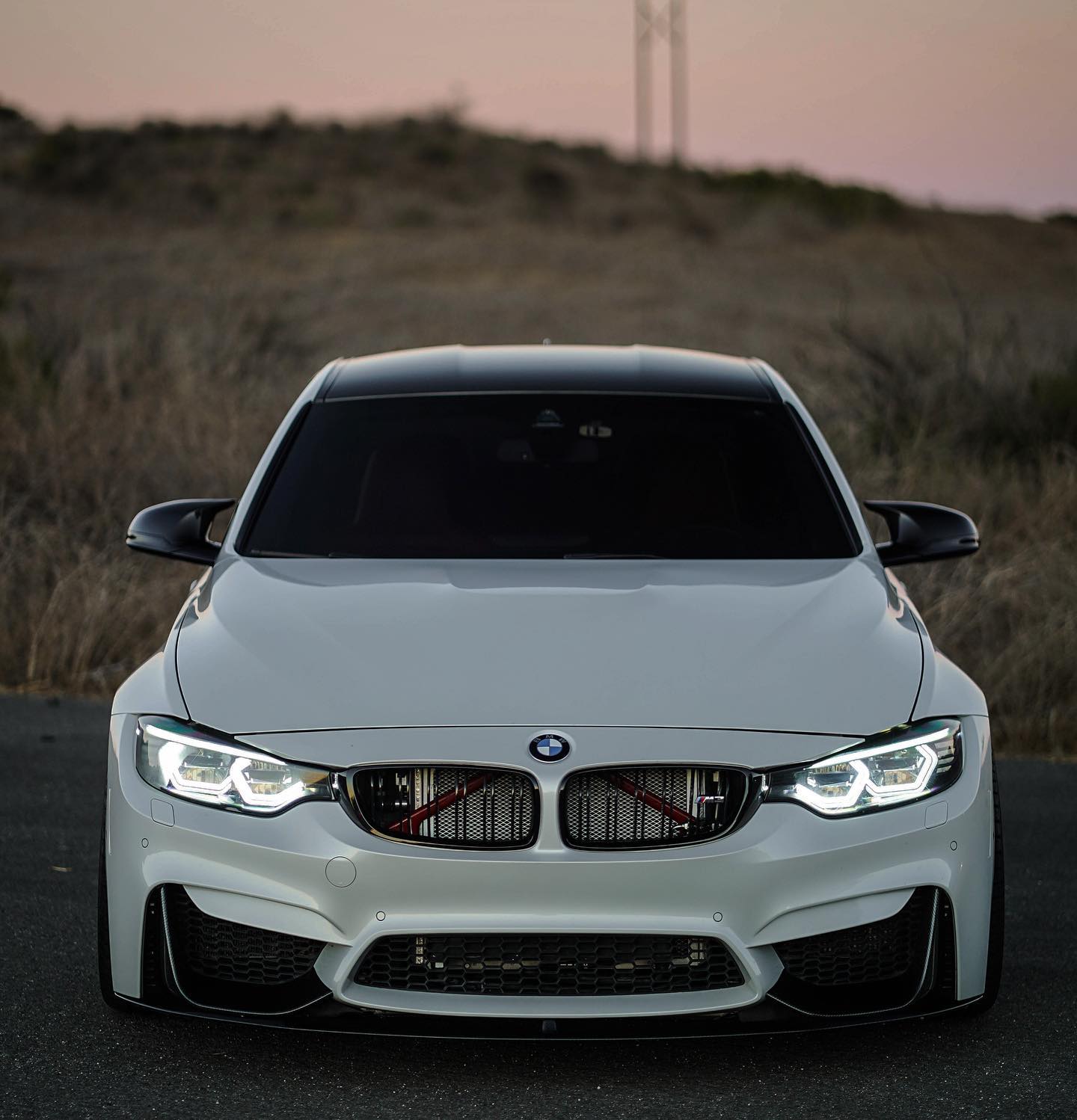 M Performance Carbon Fiber Front Lip w/ Canard - BMW F80 M3 & F82 / F83 M4