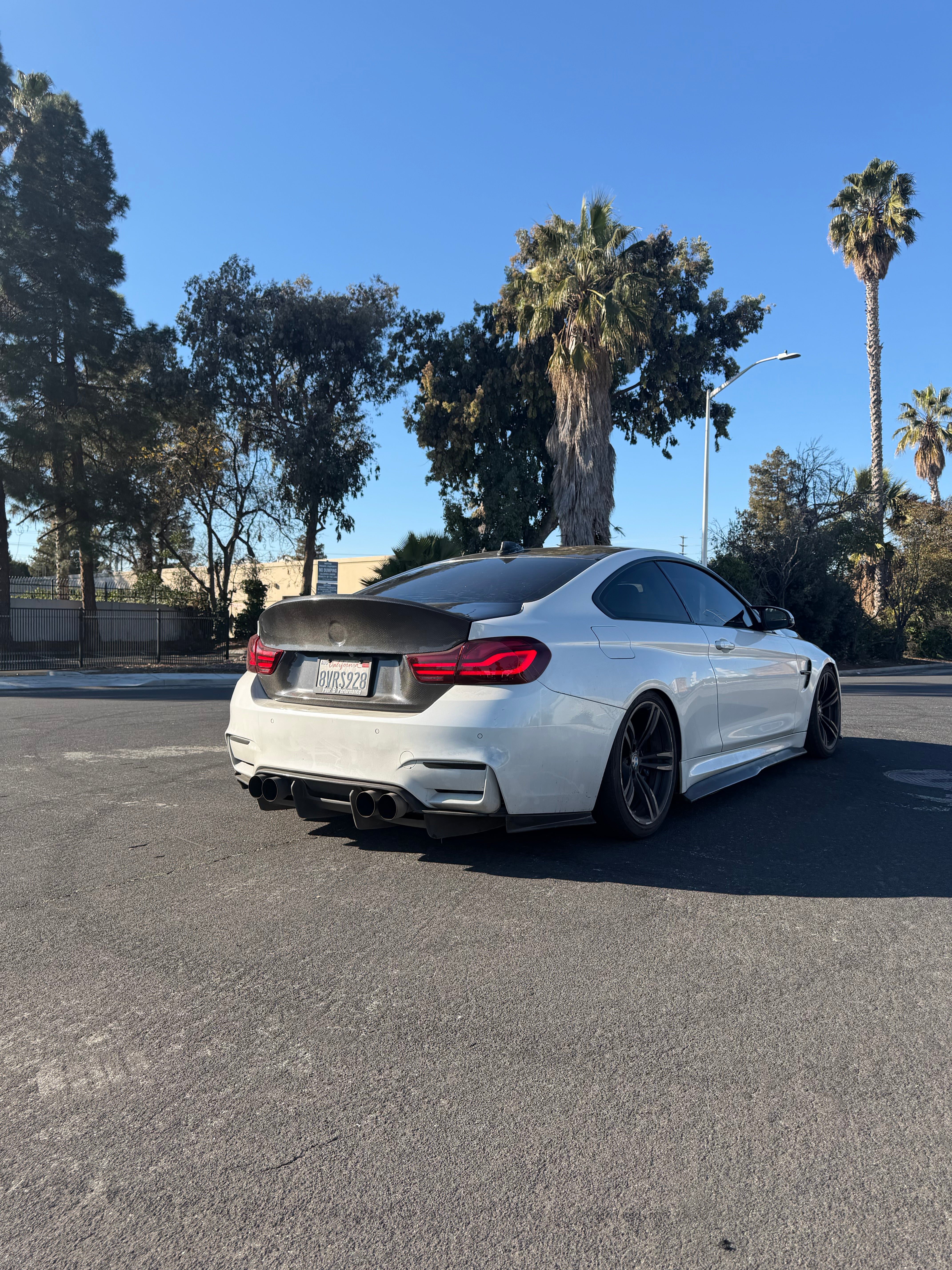PSM Carbon Fiber Rear Diffuser - BMW F80 M3 & F82 / F83 M4