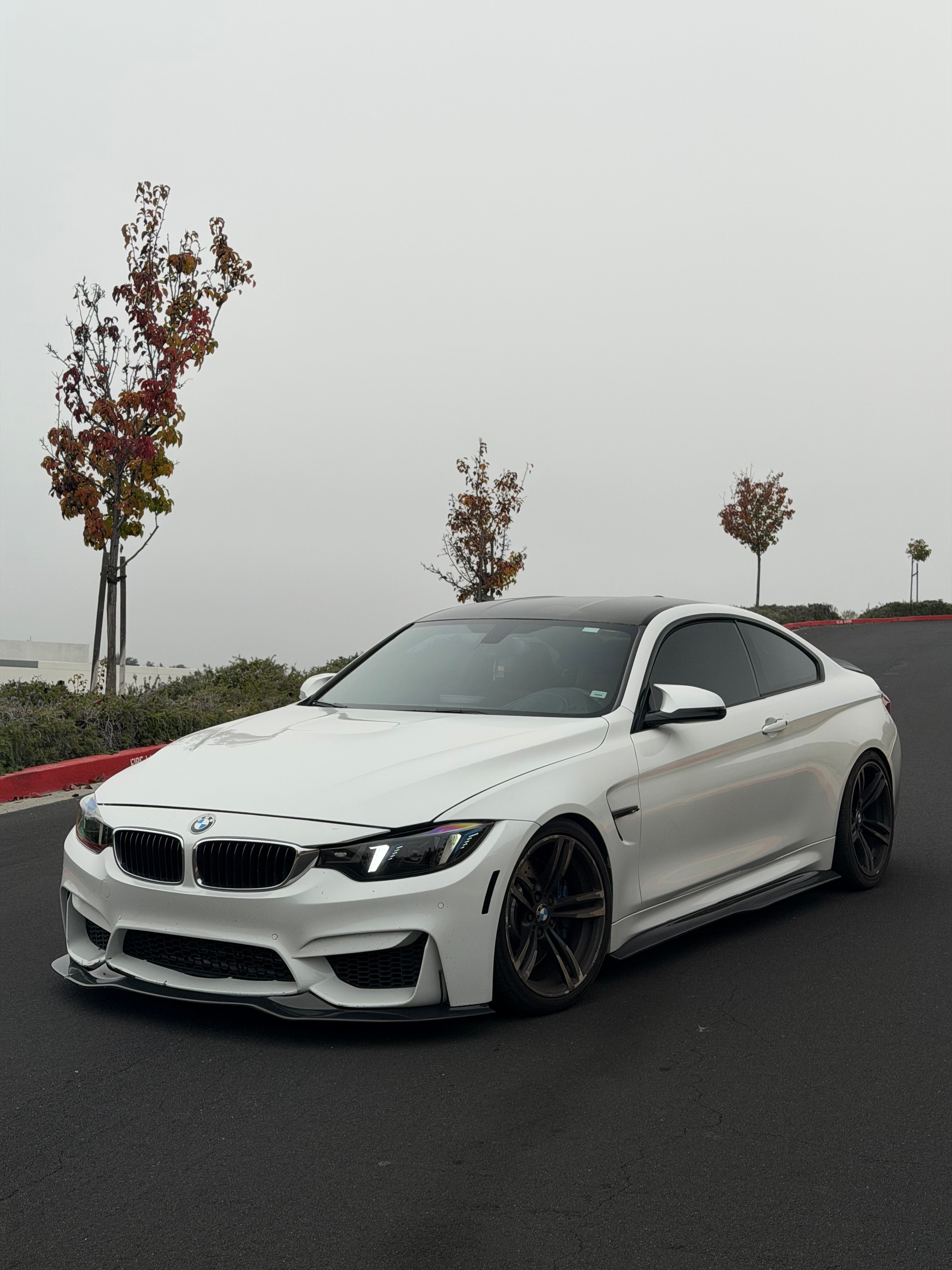 PSM Style Carbon Fiber Front Lip - BMW F80/F82