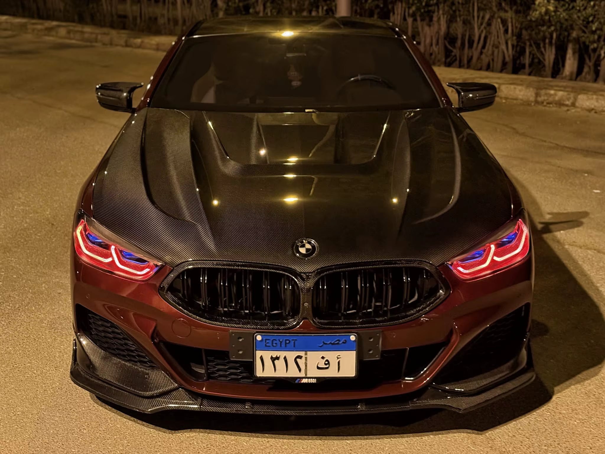Dry Carbon Fiber Paktech Engine Hood Bonnet - BMW M8 F91 F92 F93