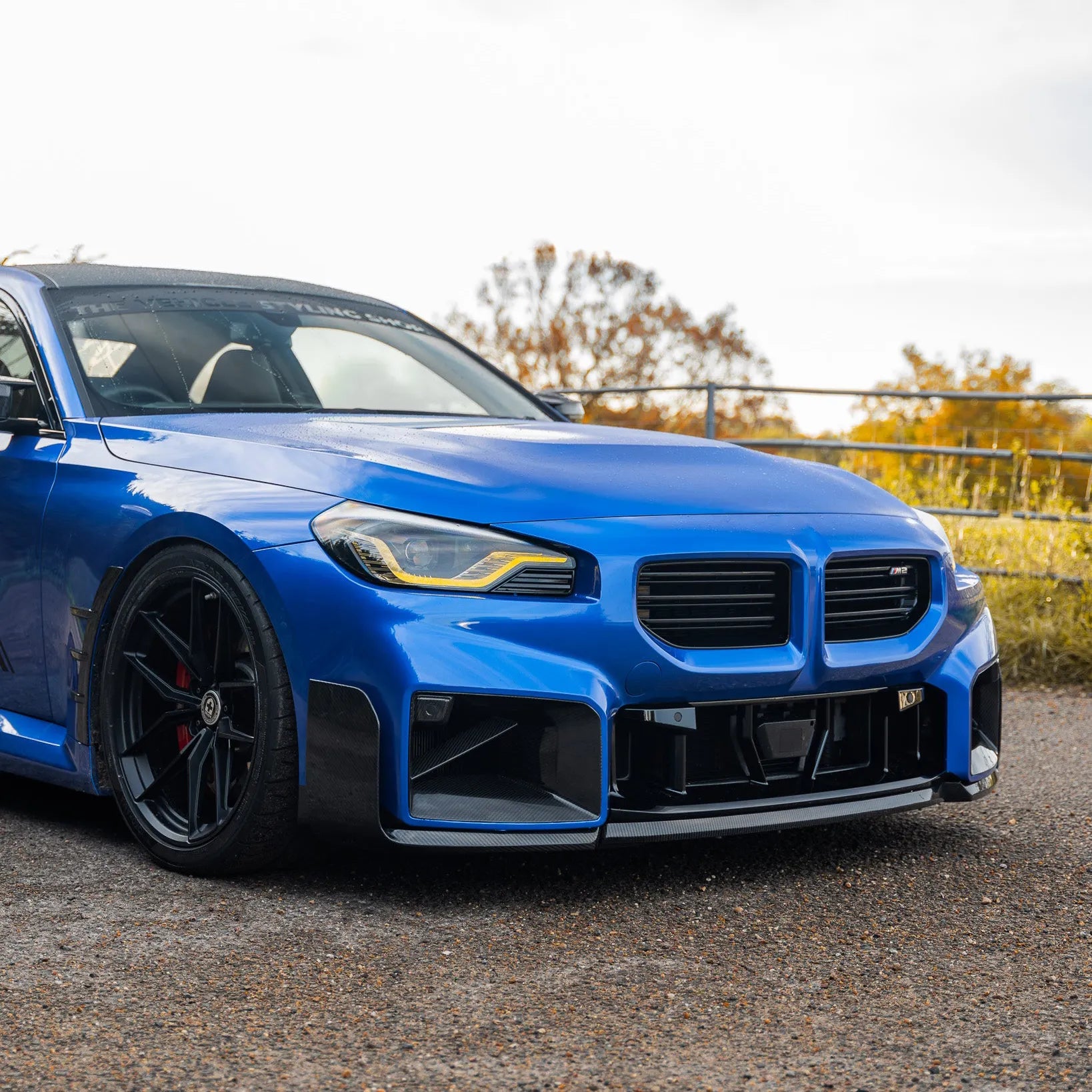 Carbon Fiber Front Center Lower Grille - BMW G87 M2