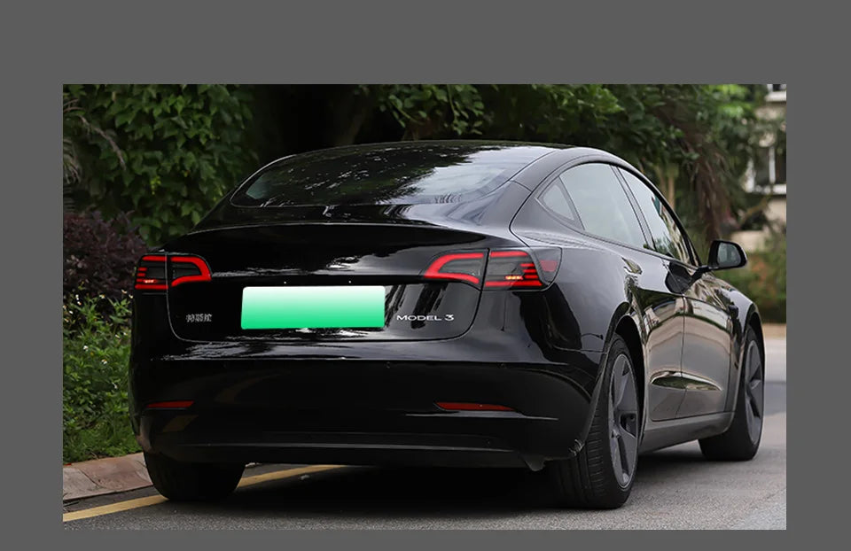 Eagle Eye Style LED Tail Light - Tesla Model 3/Y
