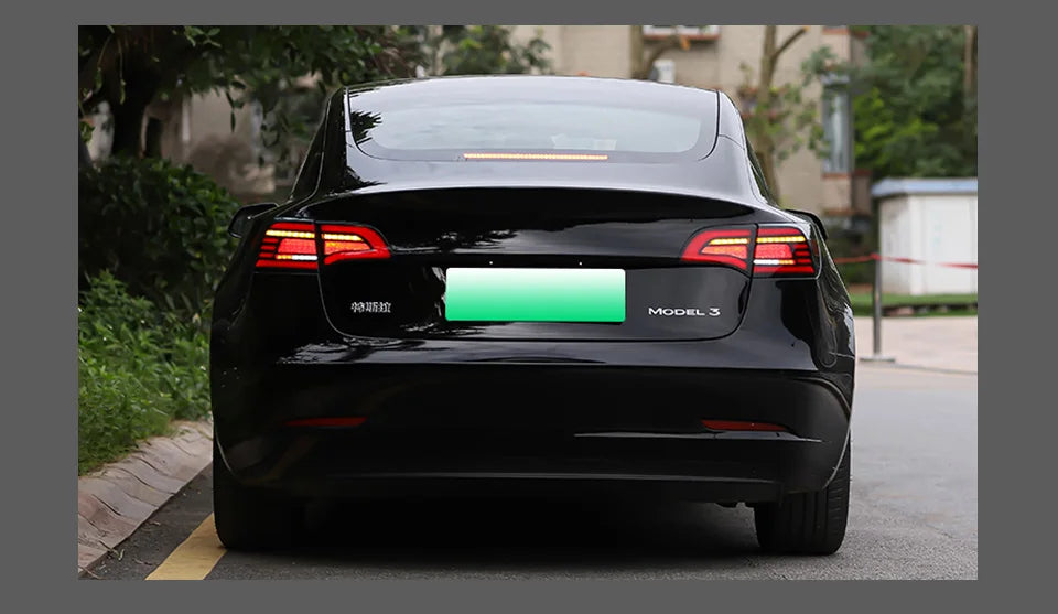 Eagle Eye Style LED Tail Light - Tesla Model 3/Y