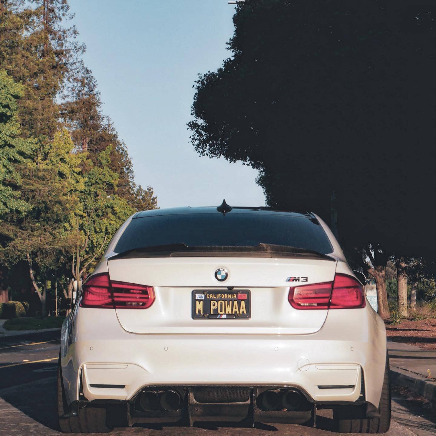 PSM Carbon Fiber Rear Diffuser - BMW F80 M3 & F82 / F83 M4 The Carbon Industries