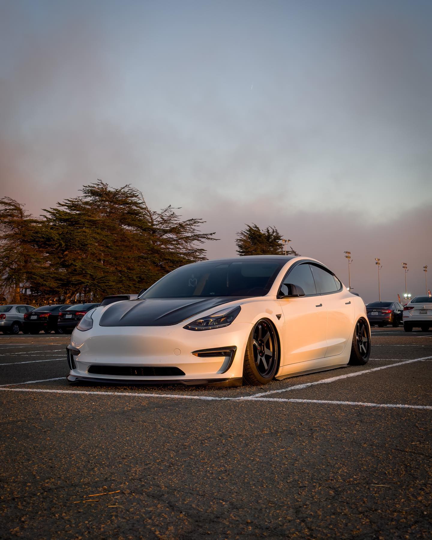 TESLA