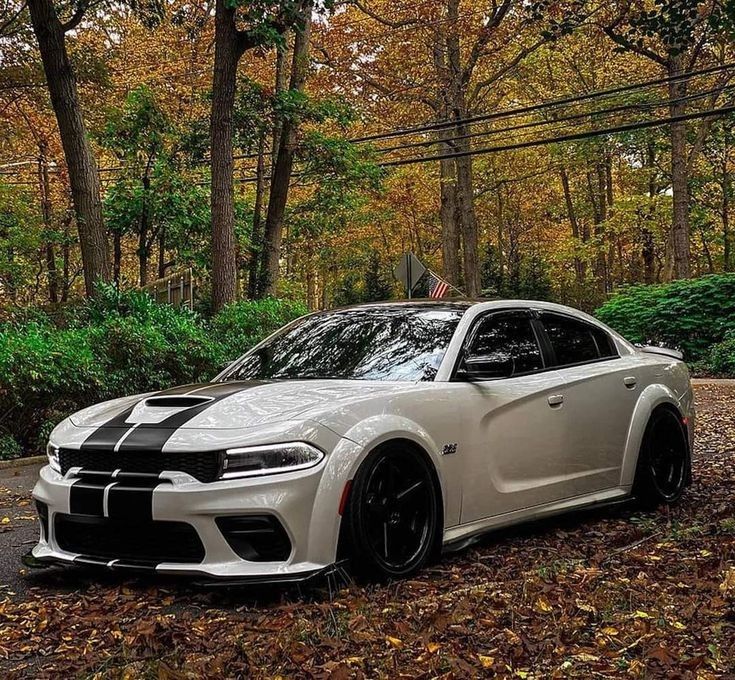 Dodge