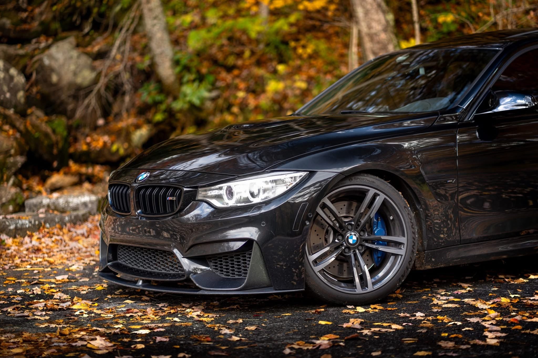 M Performance Carbon Fiber Front Lip w/ Canard - BMW F80 M3 & F82 / F83 M4