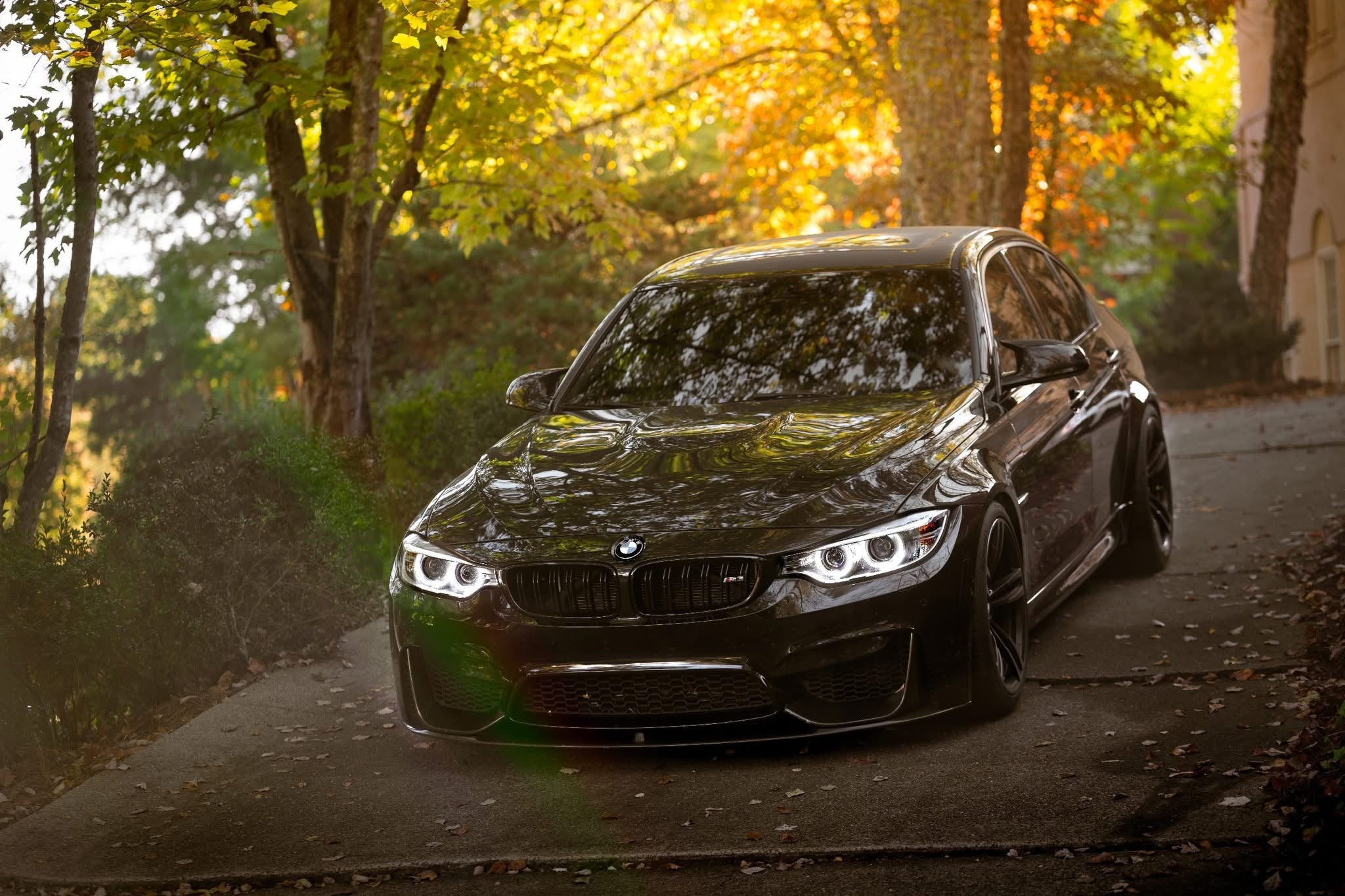 M Performance Carbon Fiber Front Lip w/ Canard - BMW F80 M3 & F82 / F83 M4