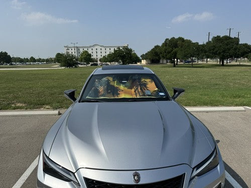 M style Carbon Fiber Mirror Cap Set - 21-24 LEXUS IS300 IS350 IS500
