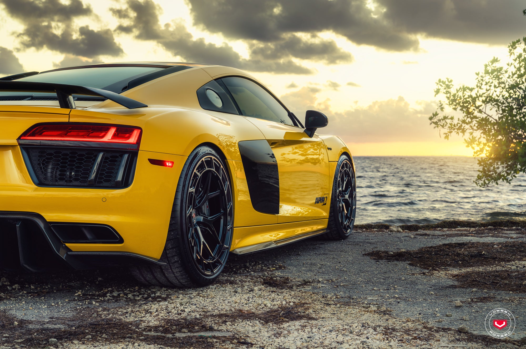 Carbon Fiber Side Skirts - Audi R8 V10