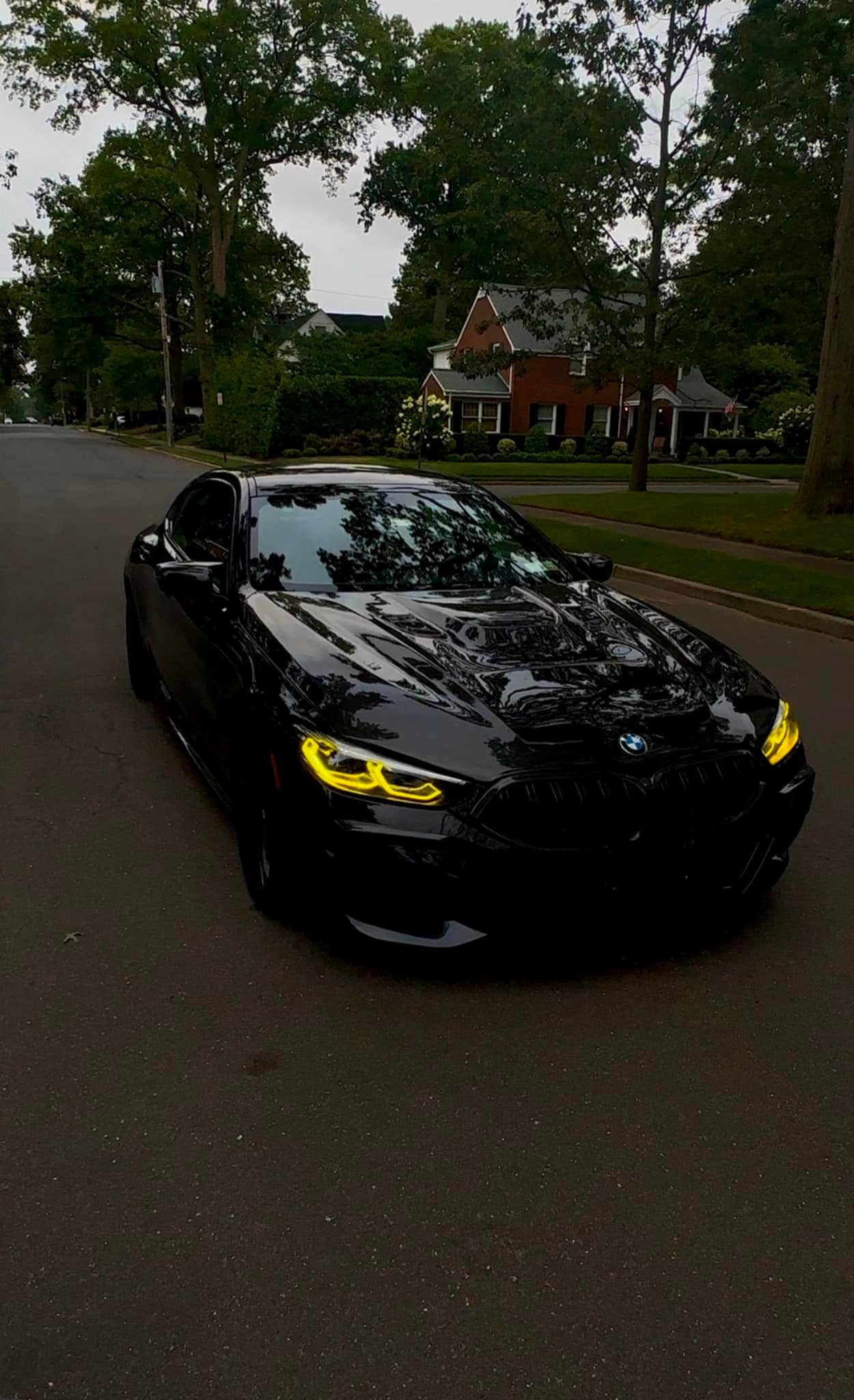Carbon Fiber Hood GTS Style - BMW F91/F92/F93 M8 & G14/G15/G16 8 Series