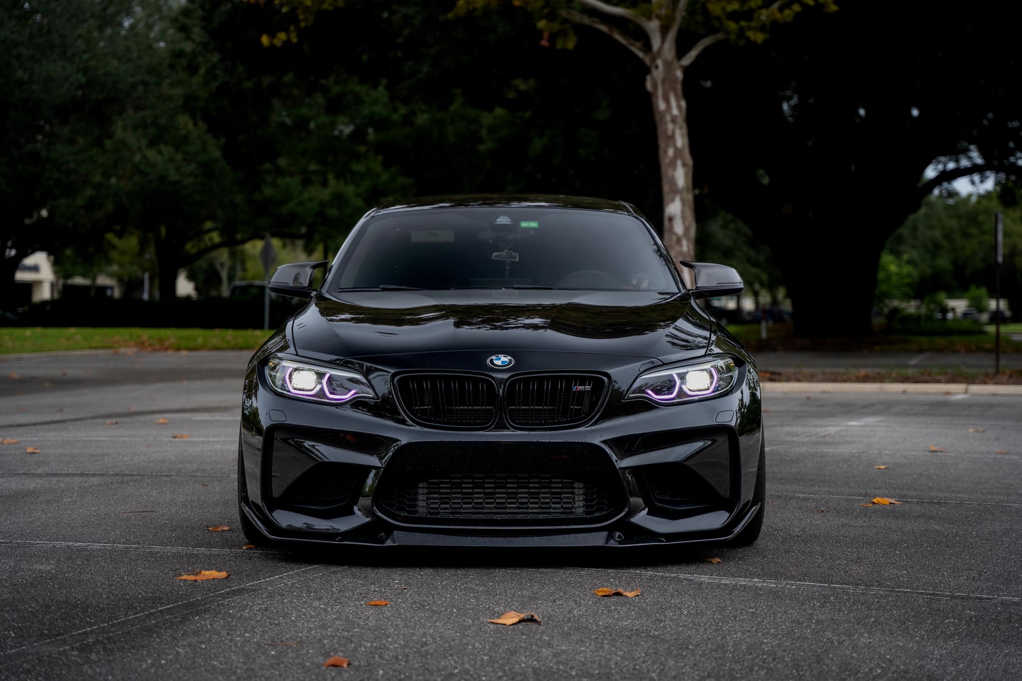 M Performance Style Carbon Fiber Front Lip - BMW F87 M2
