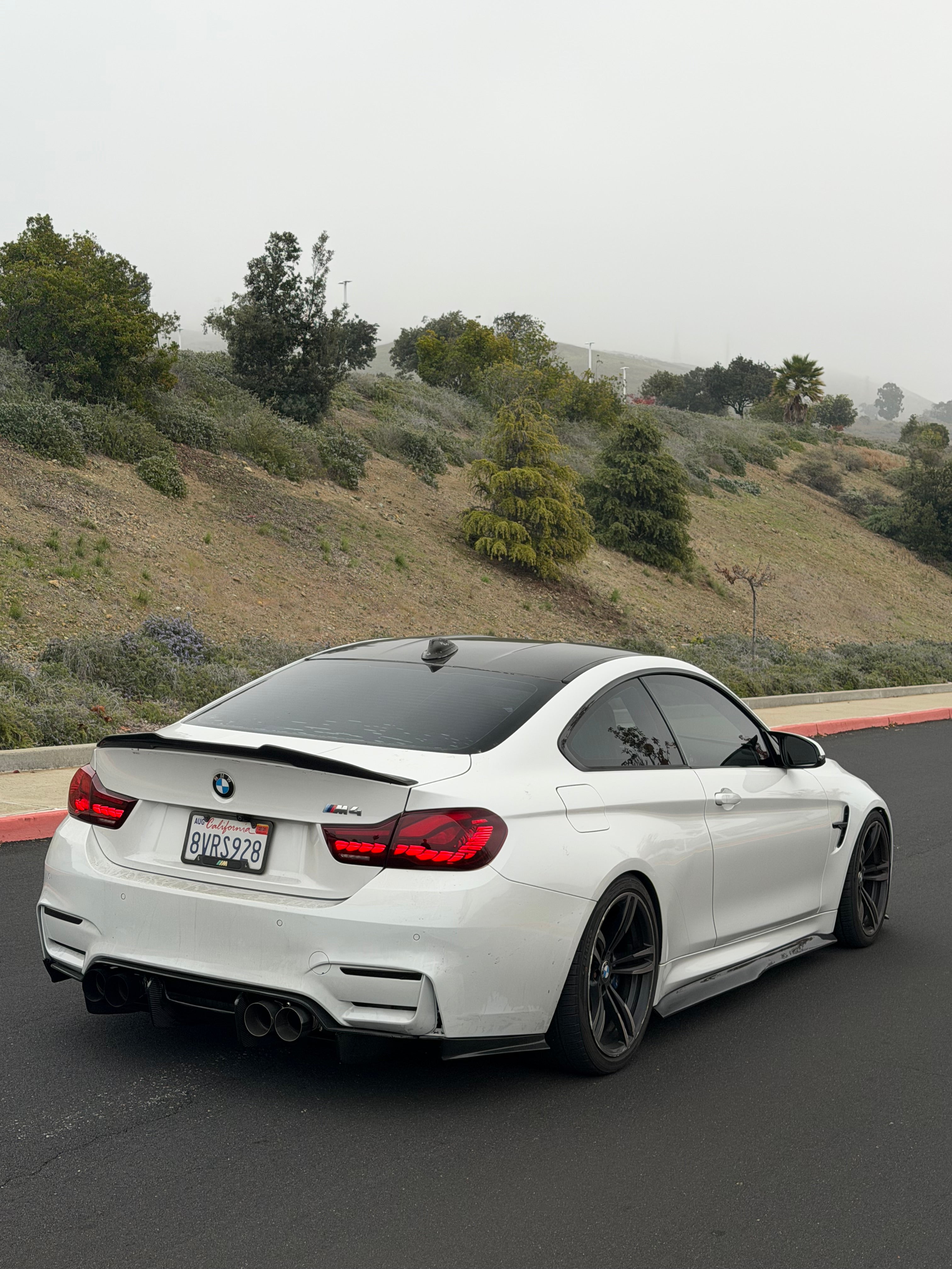 PSM Style Carbon Fiber Kit - BMW  F80 M3 & F82/F83 M4