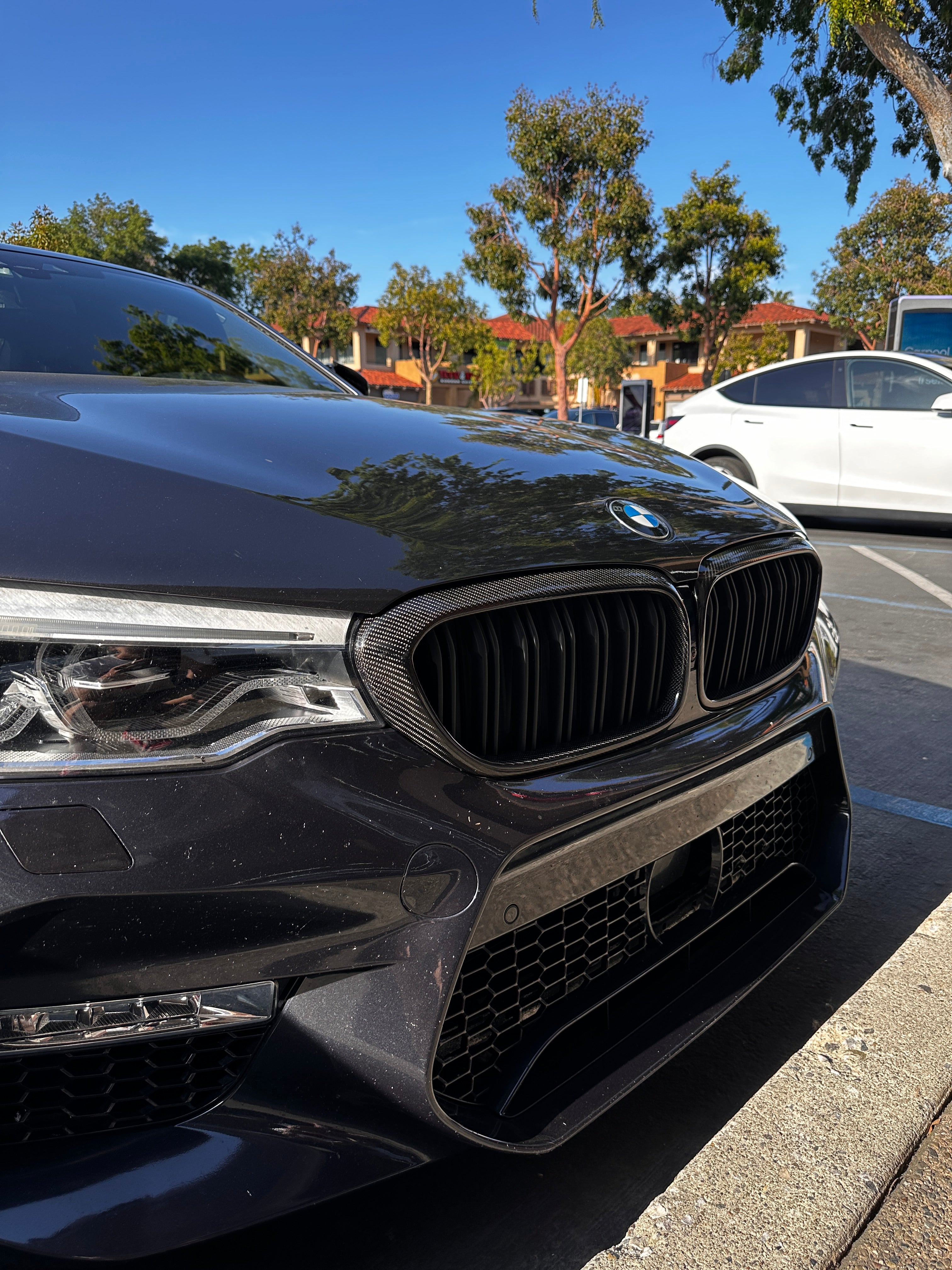 Carbon Fiber Dual Slat Grilles - BMW F90 M5 & G30