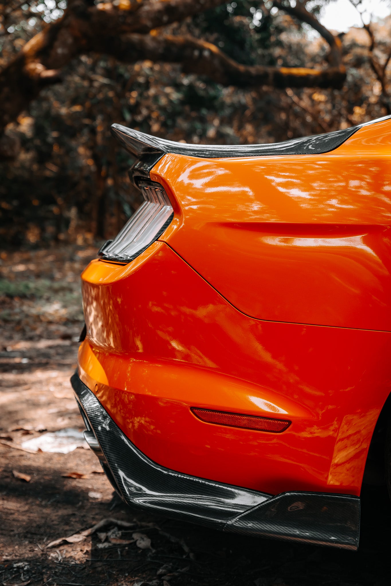 Carbon Fiber Duckbill Rear Trunk Lid - Ford Mustang